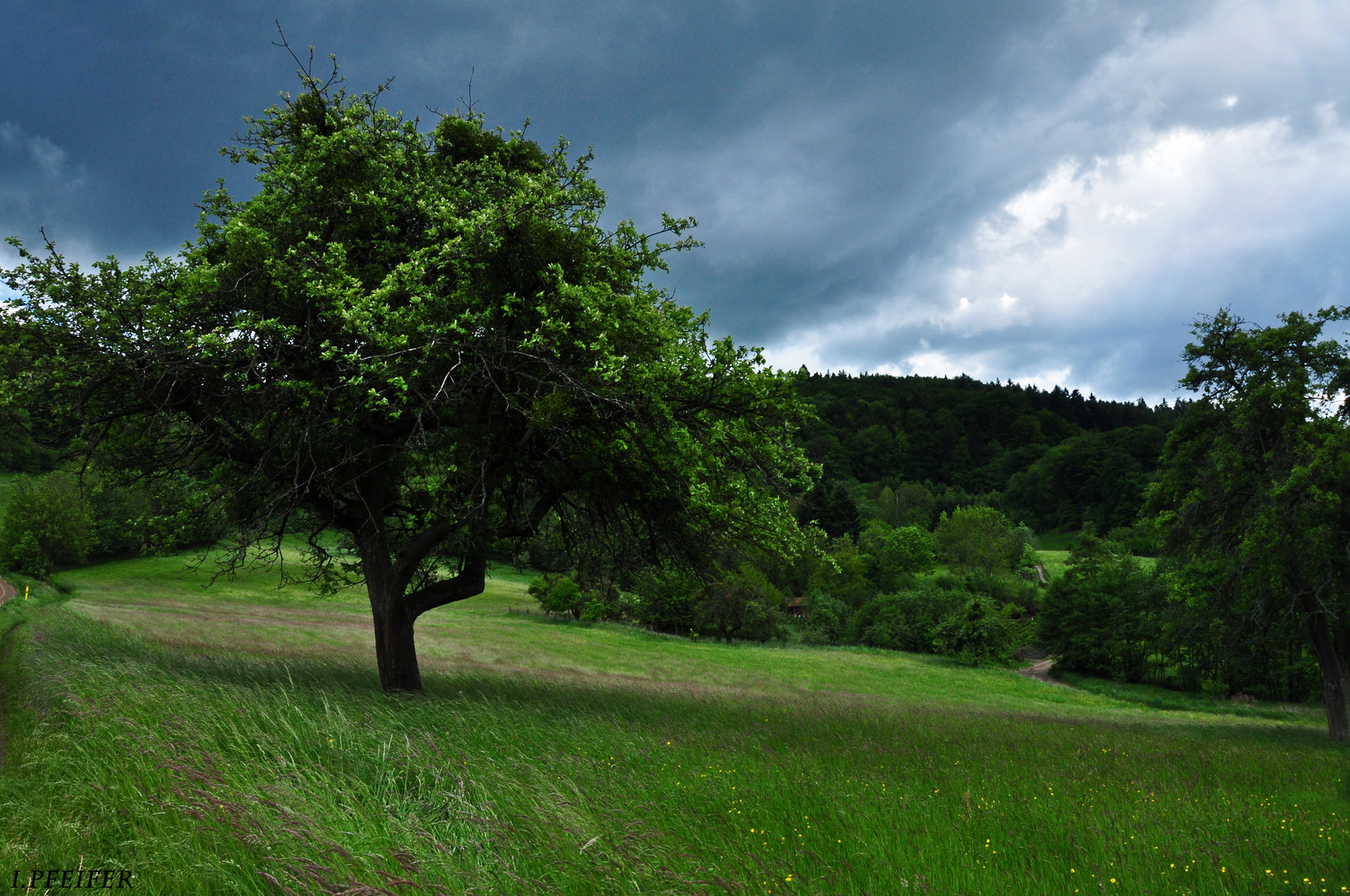 Vor dem Regen