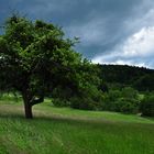 Vor dem Regen