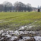 vor dem regen ist nach dem regen