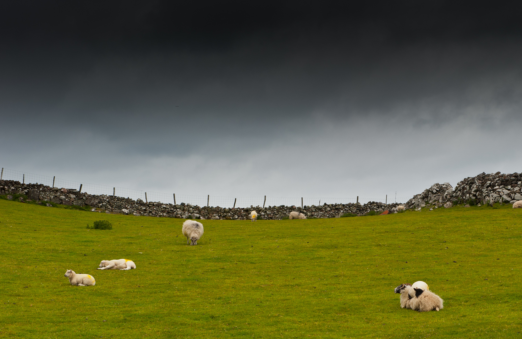 vor dem Regen, nein vor einem Regen..