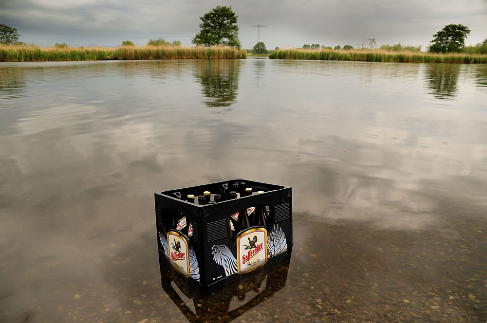 Vor dem Regen- schmeckt das Bier am besten - oder der badende Auerhahn