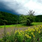 Vor dem Regenguß