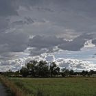 Vor dem Regenschauer