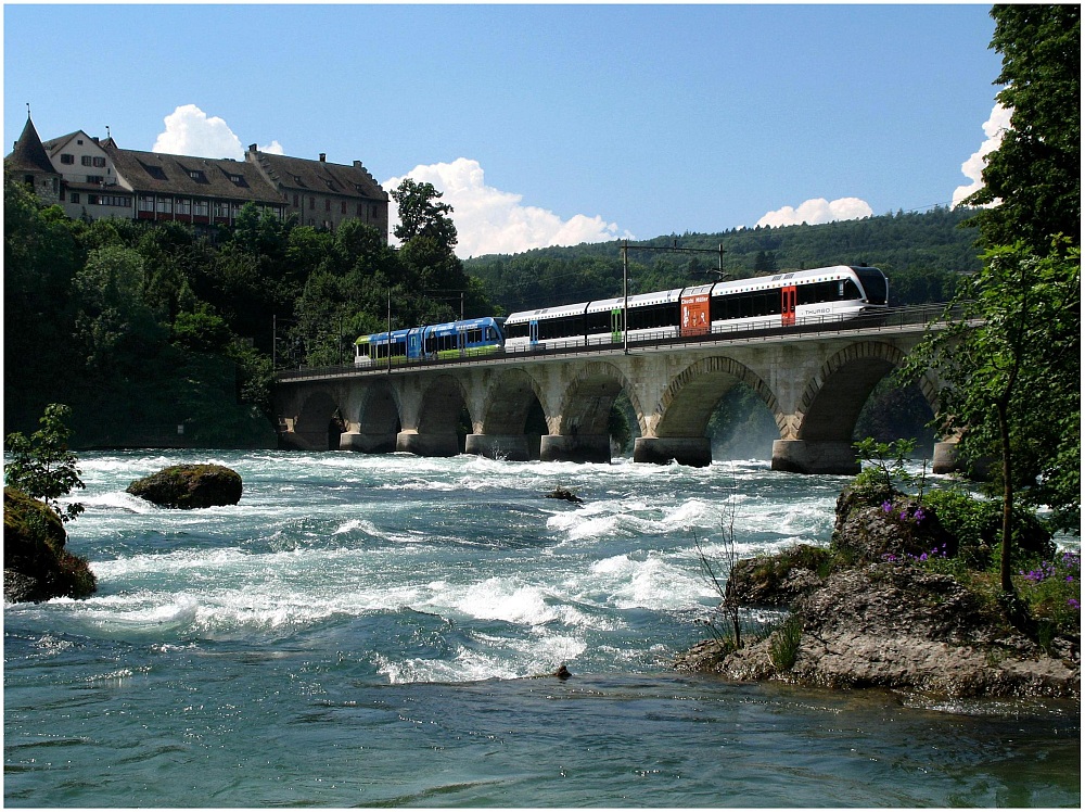 Vor dem Rheinfall