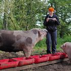 Vor dem Schlafen, nach dem Fressen - Zähneputzen nicht vergessen!