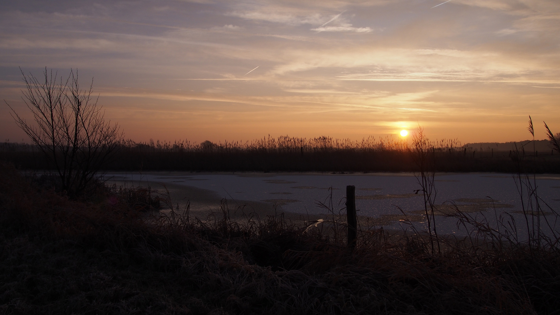 Vor dem Schnee