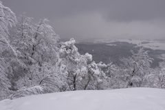 vor dem Schneesturm