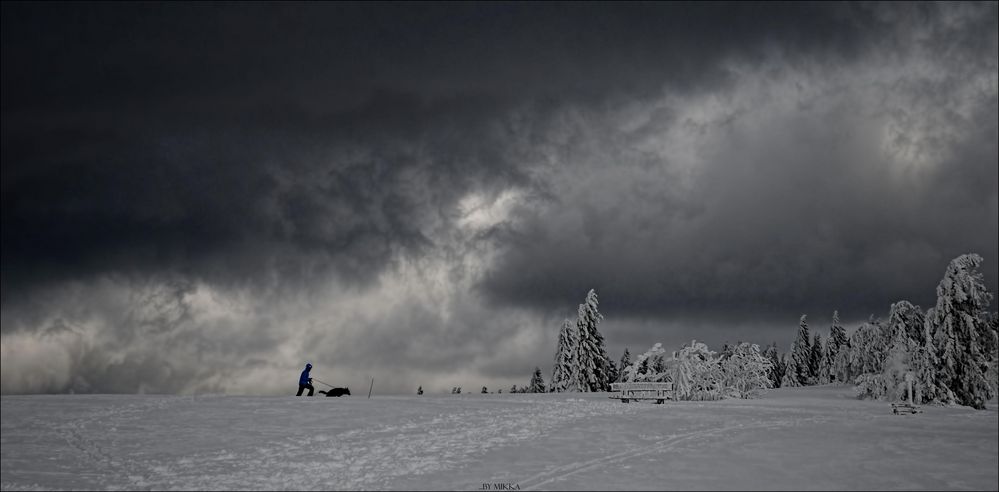 Vor dem Schneesturm fliehen...