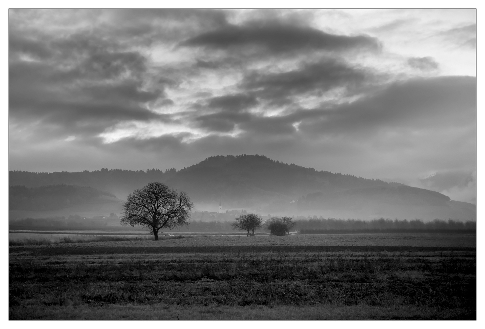 Vor dem Schwarzwald mit Frühnebel