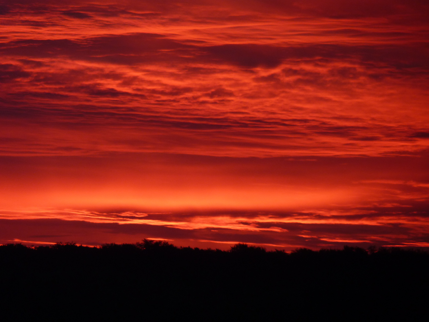 ...vor dem Sonnenaufgang ...