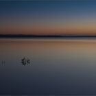 Vor dem Sonnenaufgang am See