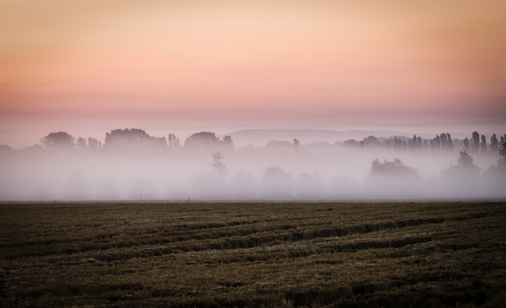 vor dem Sonnenaufgang