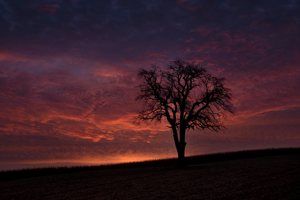 vor dem Sonnenaufgang...