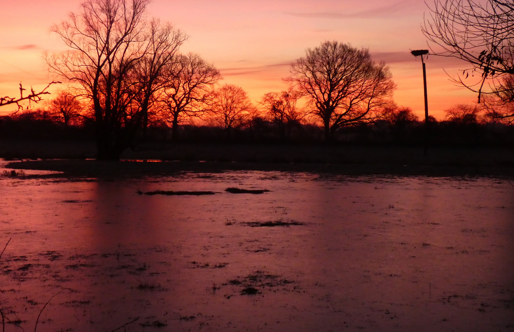 vor dem Sonnenaufgang in den Ahsewiesen.