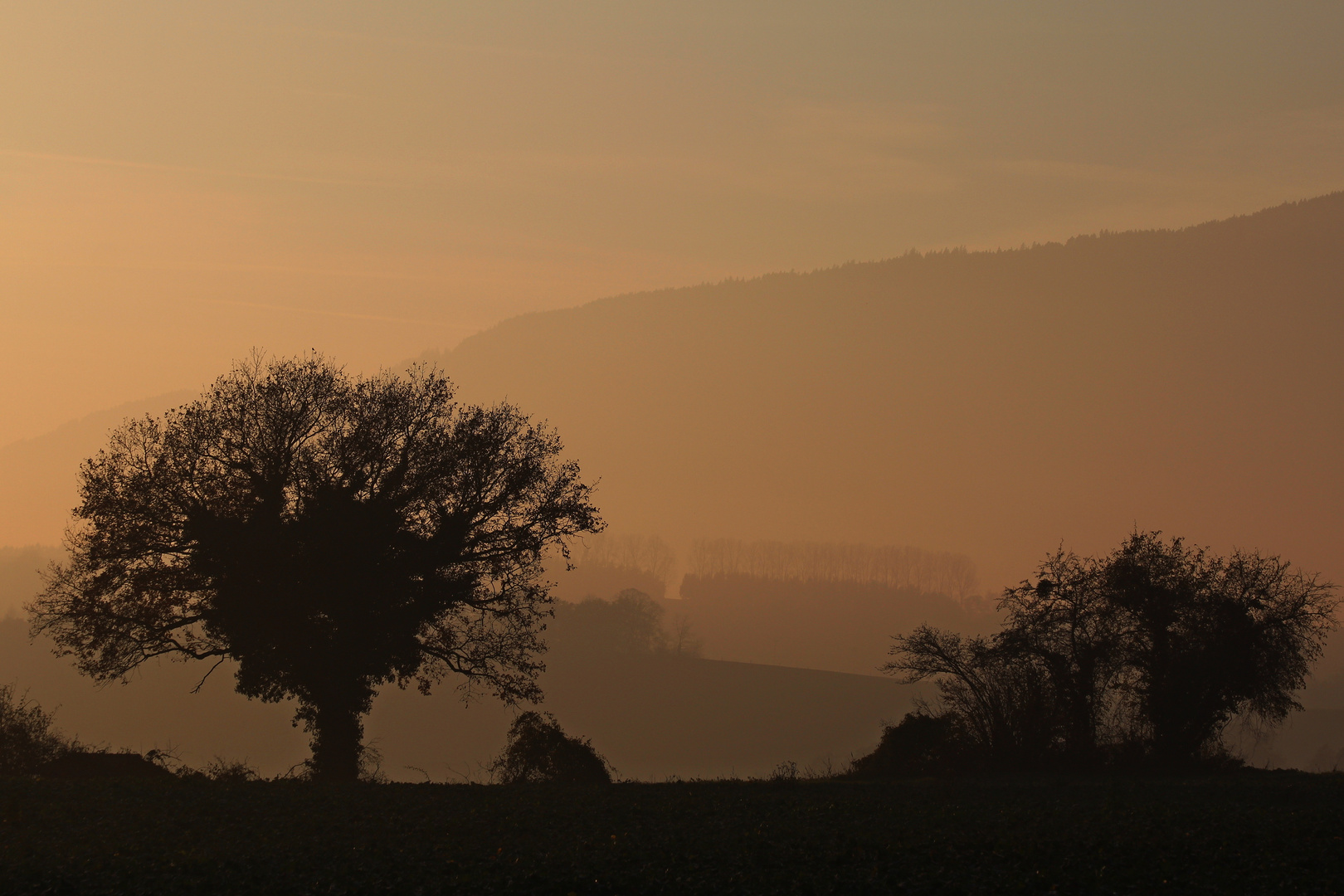 Vor dem Sonnenuntergang