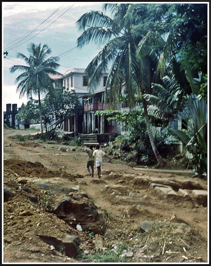 Vor dem Strassenbau