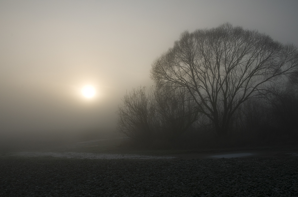 vor dem Sturm 01