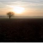 vor dem Sturm