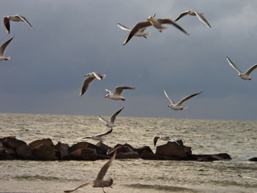 Vor dem Sturm