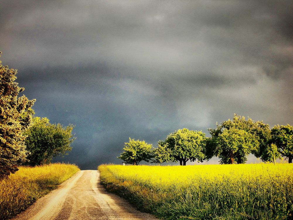 Vor dem Sturm von Durdica 