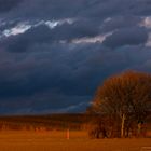 Vor dem Sturm 1