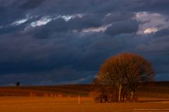 Vor dem Sturm 1