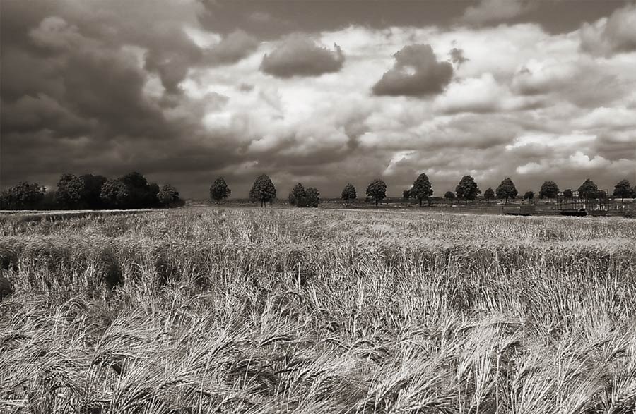 Vor dem Sturm