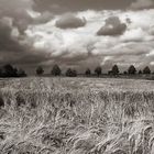 Vor dem Sturm