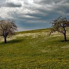 Vor dem Sturm