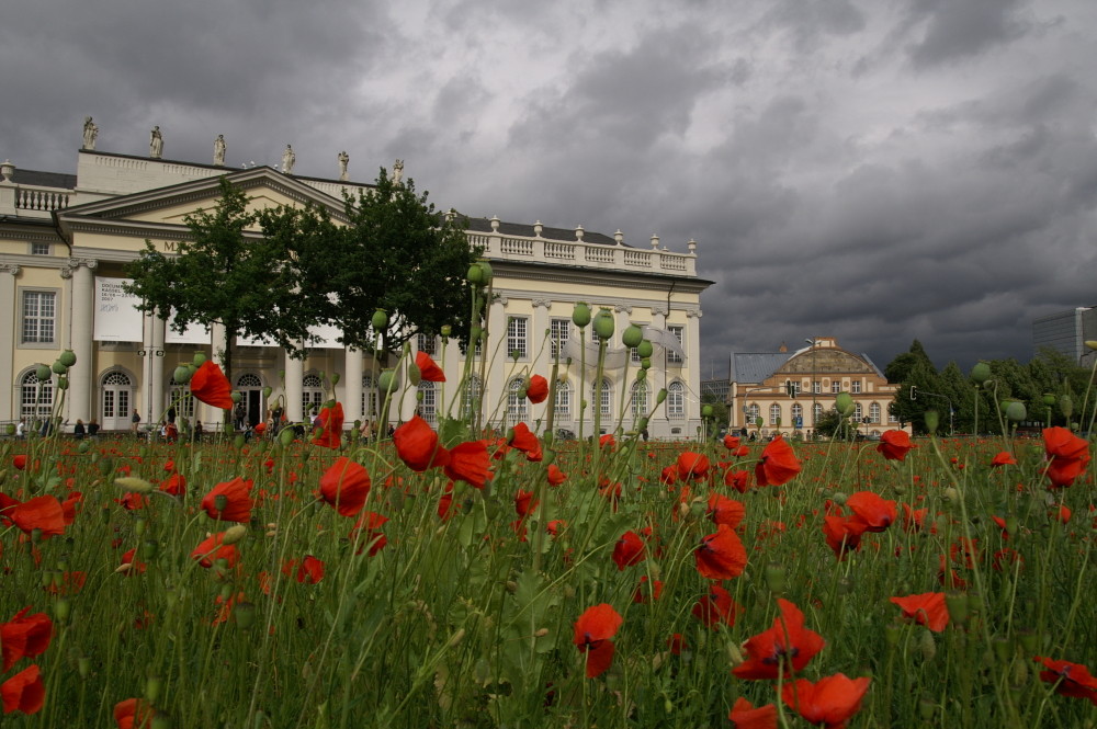 Vor dem Sturm