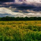 Vor dem Sturm