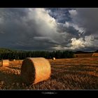 Vor dem Sturm