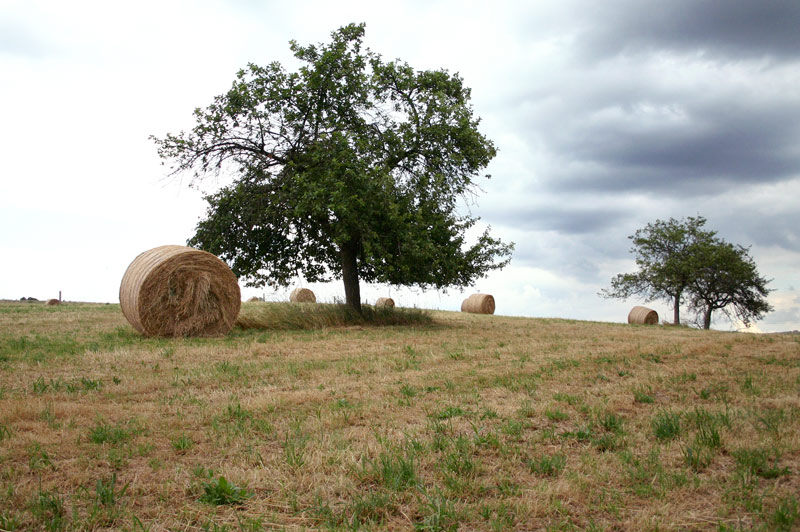 [ vor dem sturm ]