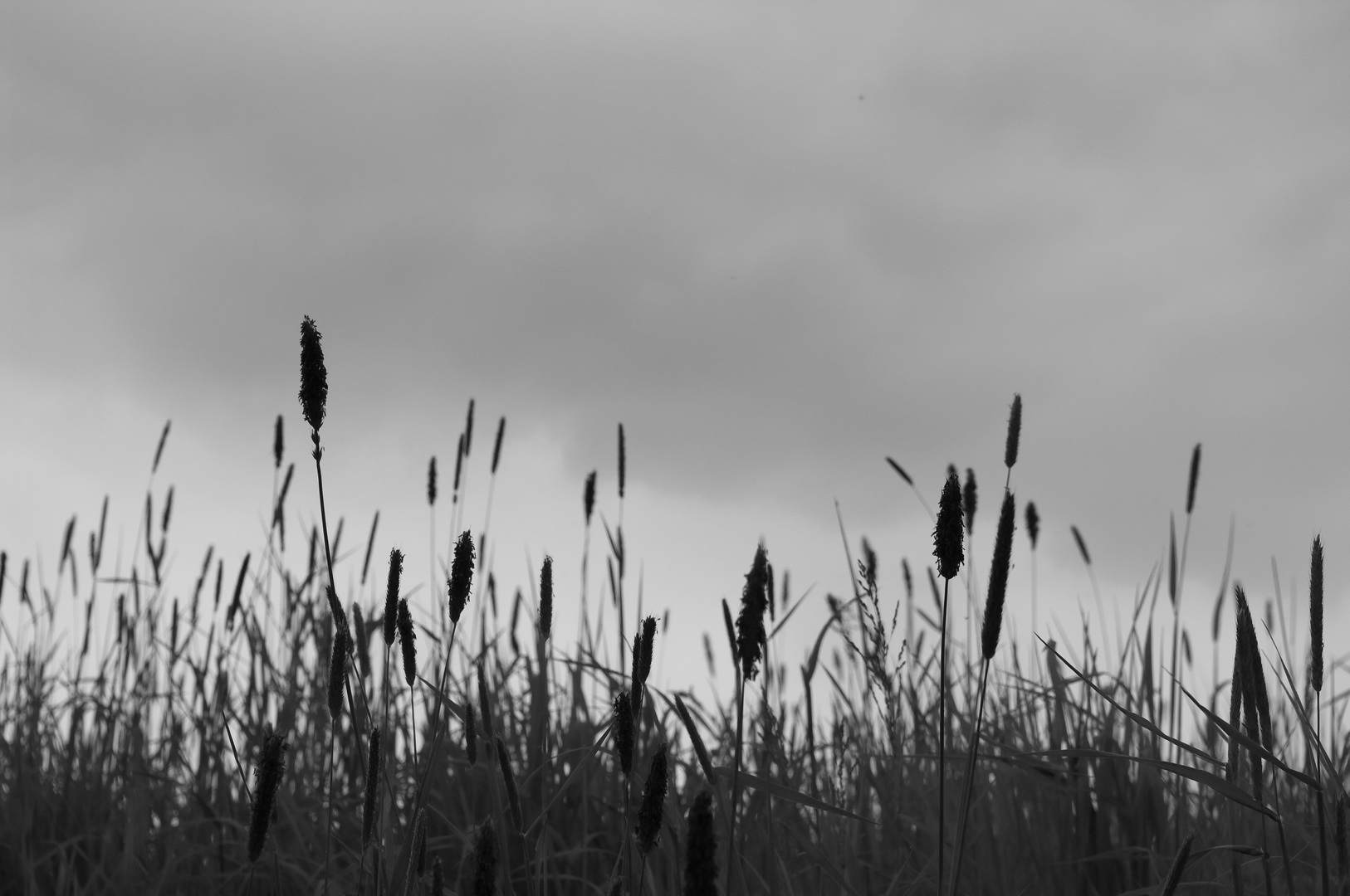 Vor dem Sturm