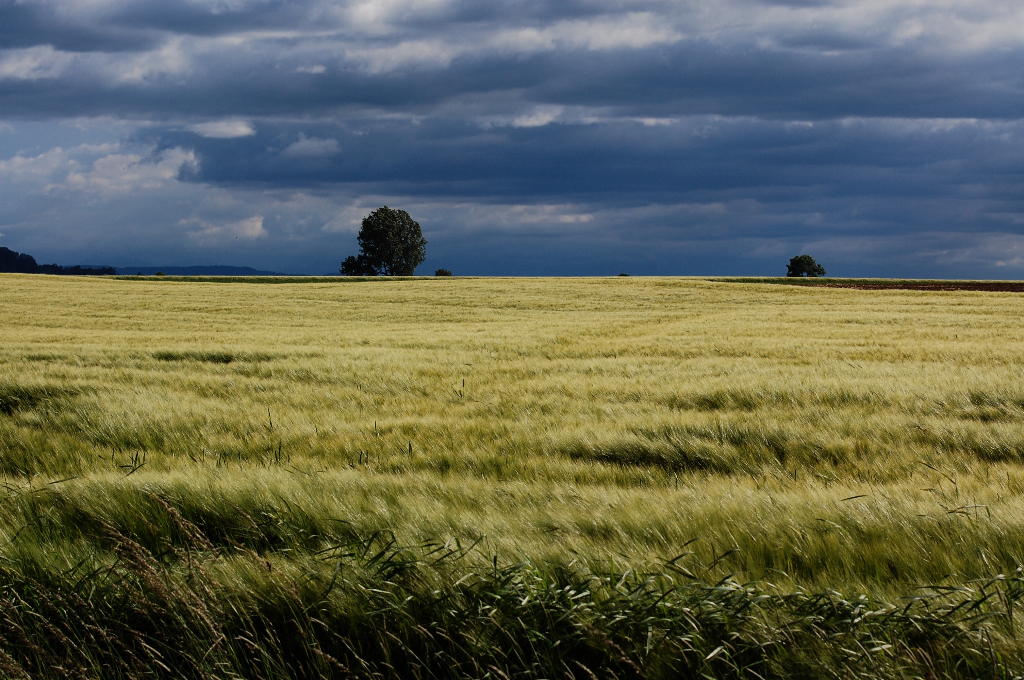 Vor dem Sturm