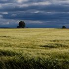 Vor dem Sturm