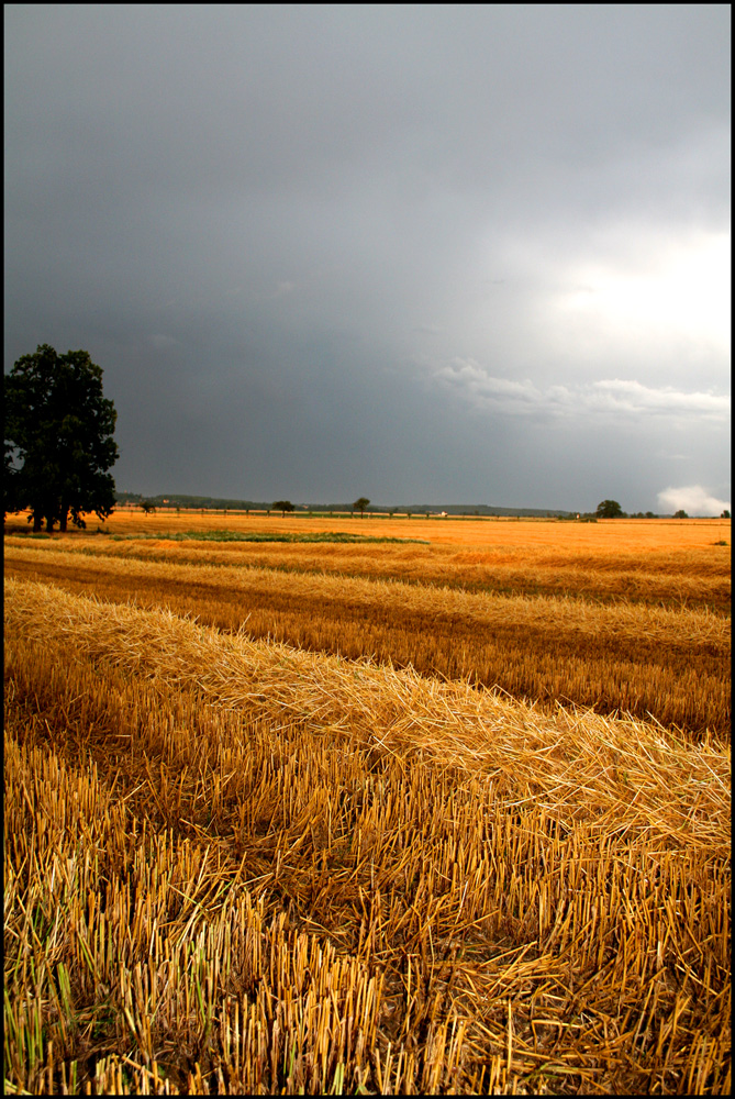 ...vor dem sturm...