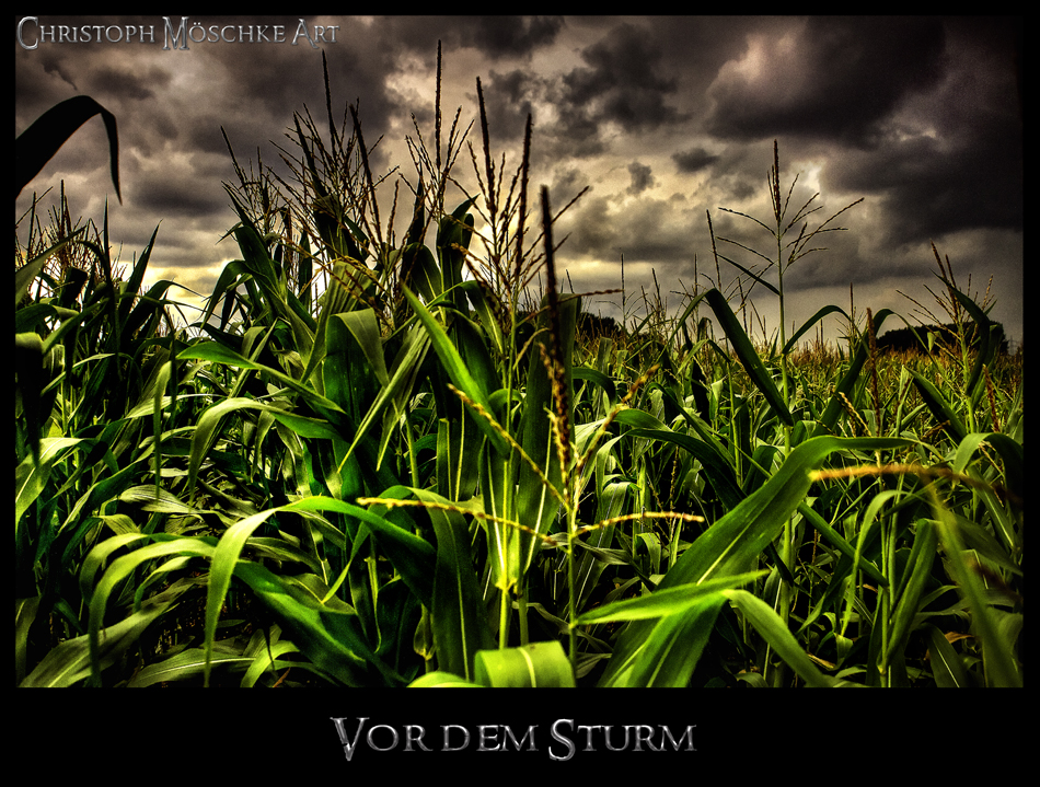 Vor dem Sturm