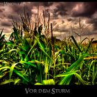 Vor dem Sturm