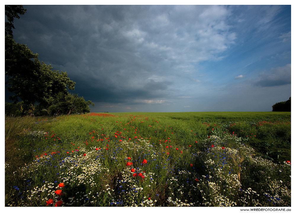 Vor dem Sturm...