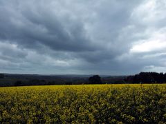 vor dem sturm....