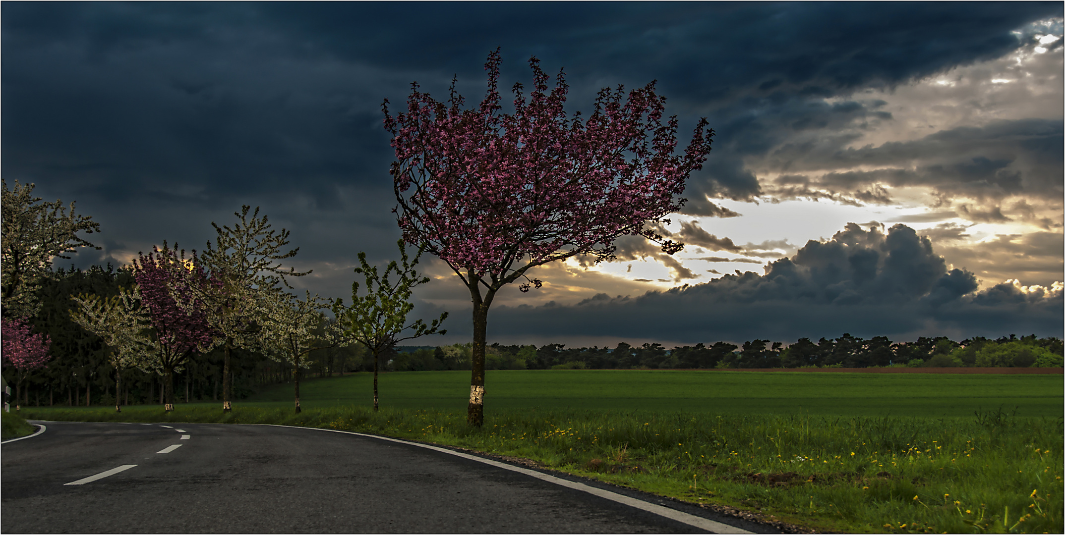 Vor dem Sturm