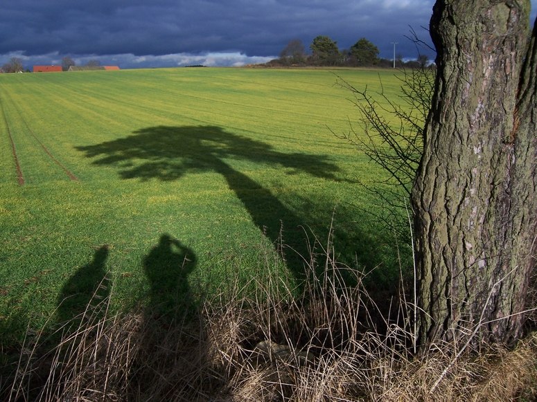 Vor dem Sturm