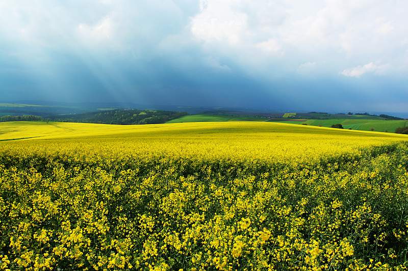 Vor dem Sturm