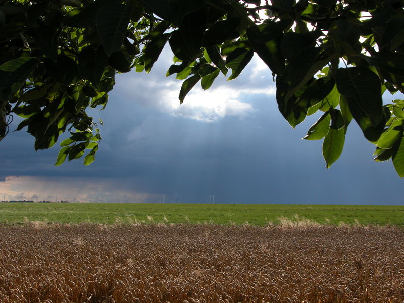 vor dem sturm