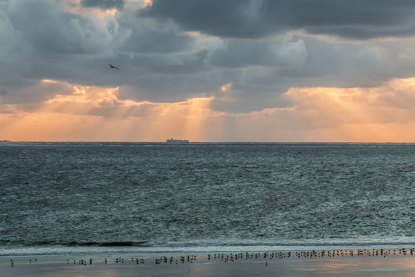 vor dem Sturm