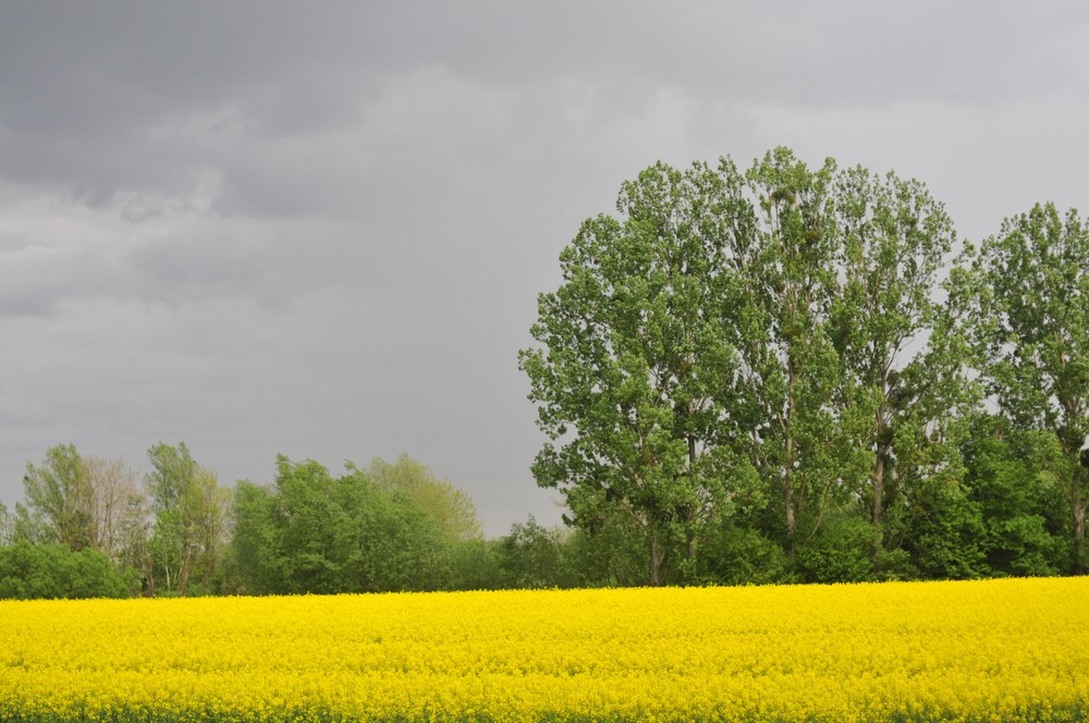 Vor dem Sturm