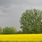 Vor dem Sturm