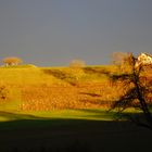 vor dem sturm