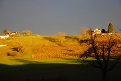 vor dem sturm